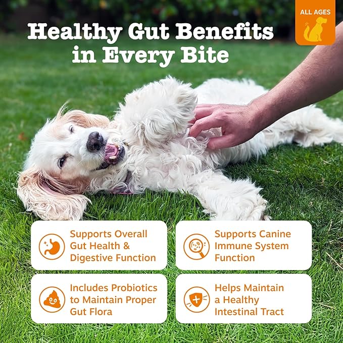 Zesty Paws Probiotics for Dogs, Digestive Enzymes Gut Flora, Digestive Health, Diarrhea & Bowel Support, DE111, Dog Probiotic Soft Chew for Pet Immune System, Pumpkin, 250 Ct (Pack of 2)