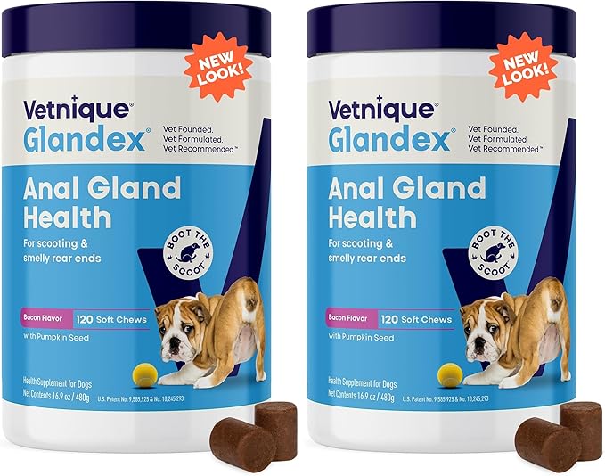 Vetnique Glandex Anal Gland Soft Chew Treats with Pumpkin for Dogs Digestive Enzymes, Probiotics Fiber Supplement for Dogs Boot The Scoot (Bacon Flavor Chews, 120 Count) (Pack of 2)