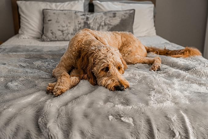 PupProtector Waterproof Throw Blanket for Dogs and Cats, Pet Blanket Cover for Couches, Sofas, Beds, Car Seats, Furniture, Calming Soft Faux Fur, Short Grey, Large (80" L x 62" W)