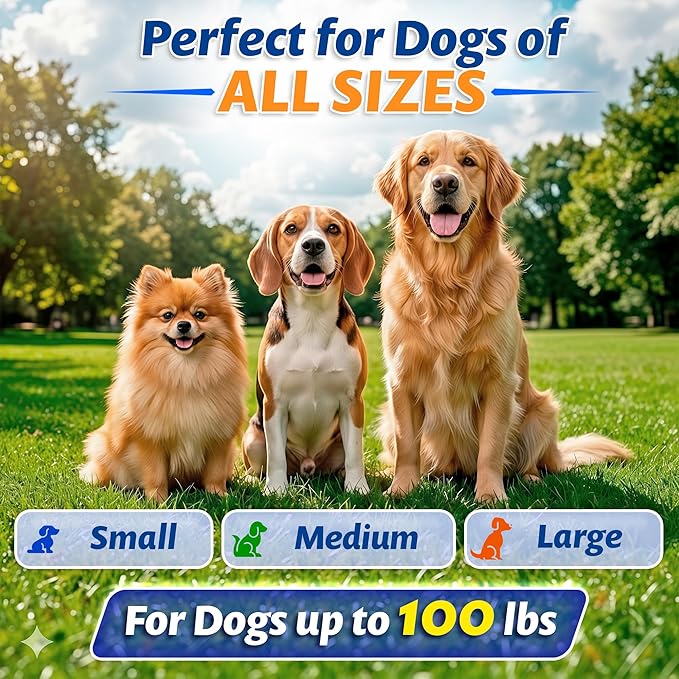 16.4 ft Retractable Dog Leash – Heavy Duty Dog Retractable Leash with Strong Nylon Tape - 360° Tangle-Free Design for Small Medium & Large Dogs up to 100 lbs – One-Click Lock - Ergonomic Comfort Grip