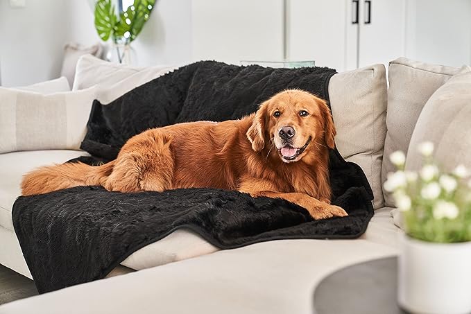 PupProtector Waterproof Throw Blanket for Dogs and Cats, Pet Blanket Cover for Couches, Sofas, Beds, Car Seats, Furniture, Calming Soft Faux Fur, Midnight Black, Large (80" L x 62" W)