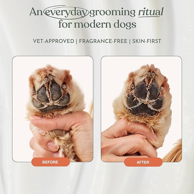 Dandylion Soft Paws Lotion with Brush | Dog Paw Balm & Paw Butter | Hydrating, Vet-Approved, Lick-Safe, Fragrance-Free | pH-Balanced for Itchy, Dry, Cracked Dog Paws | 0.6 fl oz