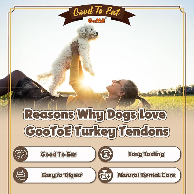 Gootoe Turkey Tendons for Dogs –All-Natural, Hypoallergenic Dog Treats, Rawhide Alternative, Long Lasting Puppy Chews, Healthy Dog Treats for Large Breeds, Bone (L), 2 Count Pack
