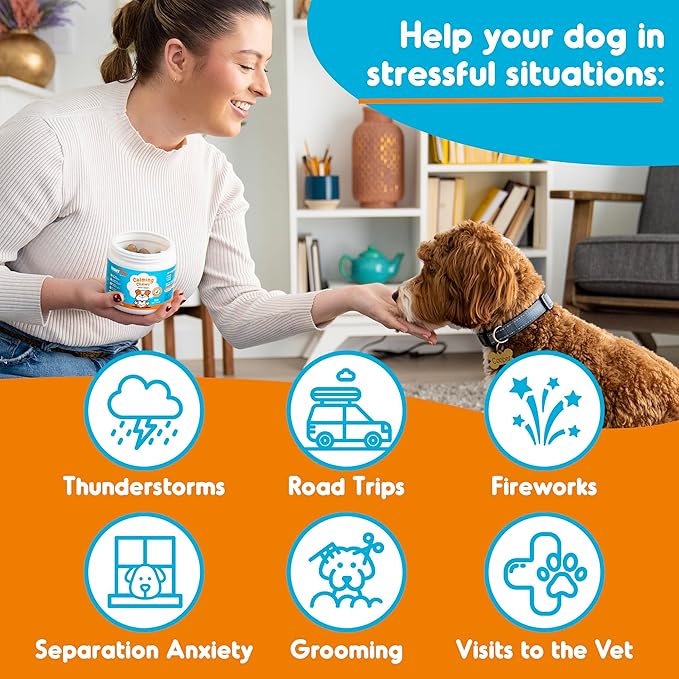 INNER PAW Calming Chews for Dogs – Hemp, Chamomile & Passion Flower – Natural Calming Aid for Stress, Relaxation, Travel & Separation – Duck Flavor Soft Chews Made in USA, 60 Count