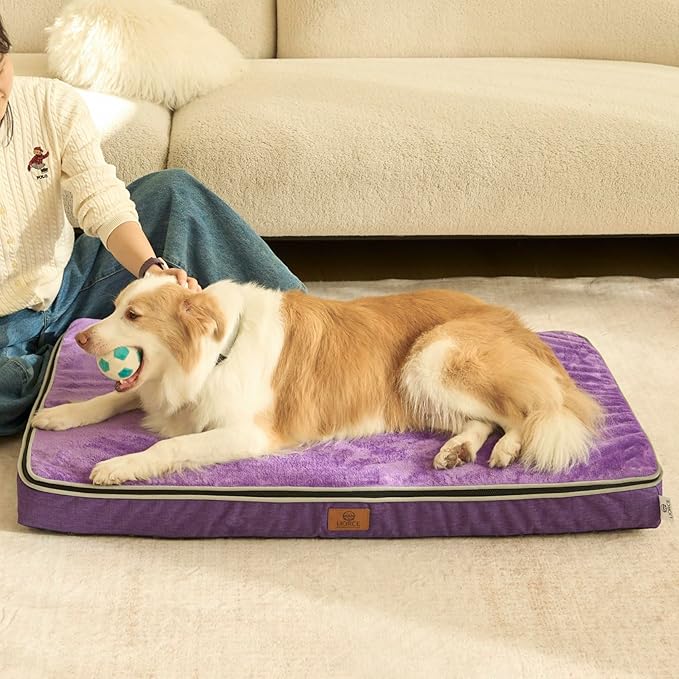 Memory Foam XL Dog Bed - 4” Thick Orthopedic Beds for Extra Large Dogs - Waterproof Dog Bed with Removable Washable Cover & Wrap-Around Zipper - Ultimate Comfort and Easy Maintenance, Purple