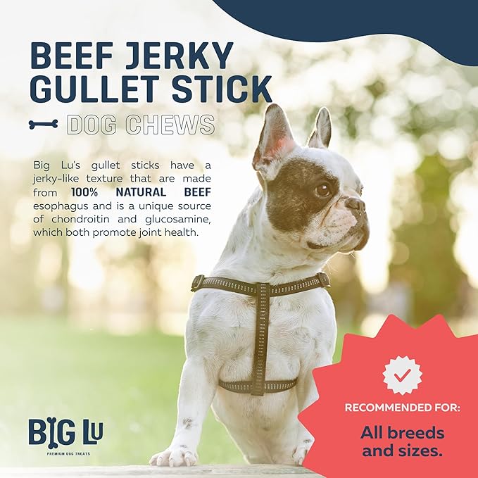 Big Lu - 6-Inch Beef Jerky Sticks for Dogs, 6 Count, All-Natural Beef Gullet, Grass-Fed Jerky Chews, Fully Digestible, High-Protein Treats with Glucosamine and Chondroitin for Joint Health