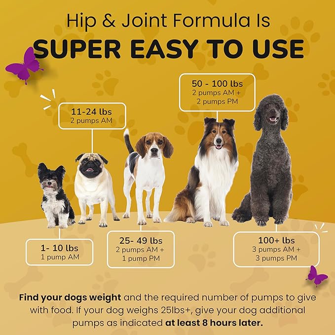 Hip and Joint Supplement for Dogs - Vet Approved Glucosamine Chondroitin for Dogs - Flexibility Support & Bone Strength - with MSM, Hyaluronic Acid, Vitamin B12, B6, B1 & More - 16 Fl Oz