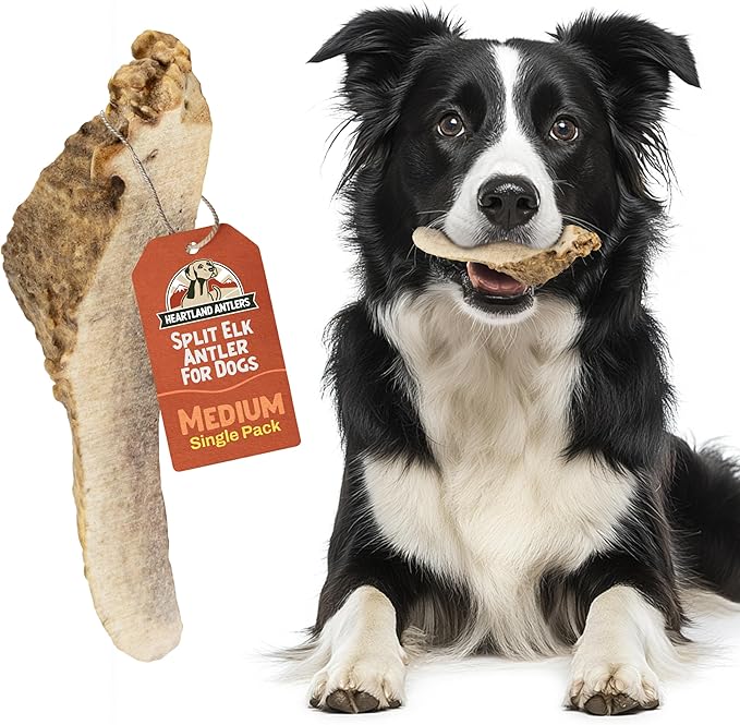 Heartland Elk Antlers for Dogs - Daily Dental Chews for Medium Aggressive Chewers to Promote Healthy Teeth & Prevent Destructive Behavior (Split Elk, 5-6", 1-Pack, Grade A, Odor-Free, USA Made)