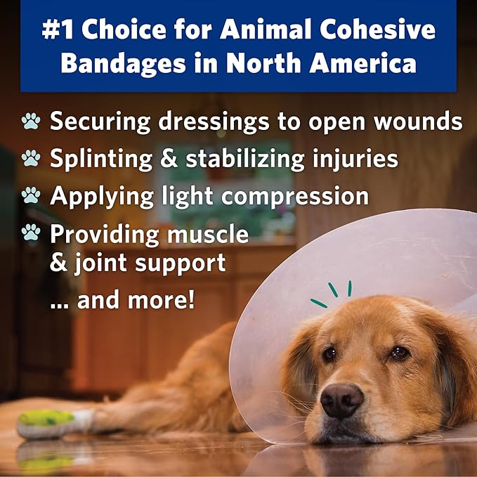 PetFlex No Chew – Flexible Self-Adhering Elastic Bandage for Wound Care – First Aid Wrap for Small Animals Like Dogs, Cats, and Other Pets - 2 inch, 6 Rolls