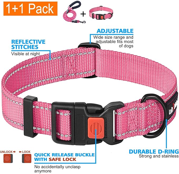 Heavy Duty Dog Leash - Comfortable Padded Handle, 5 ft Long - Dog Leashes for Small Medium Large Dogs (Leash+Collar XS Neck 10.5"-13.5", Pink)