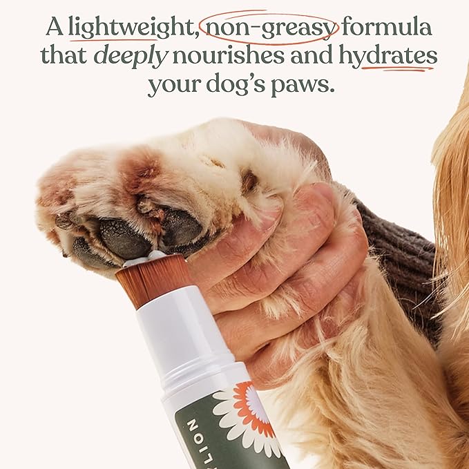 Dandylion Soft Paws Lotion with Brush | Dog Paw Balm & Paw Butter | Hydrating, Vet-Approved, Lick-Safe, Fragrance-Free | pH-Balanced for Itchy, Dry, Cracked Dog Paws | 0.6 fl oz