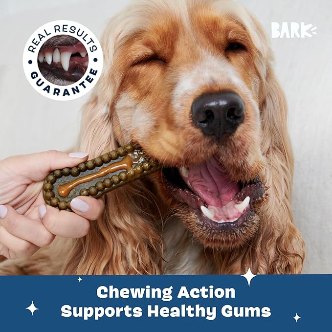 Barkbox Bright Durable Dog Dental Kit for Tough Chewers, 15 Chew Sticks & Toothpaste - Medium Breeds