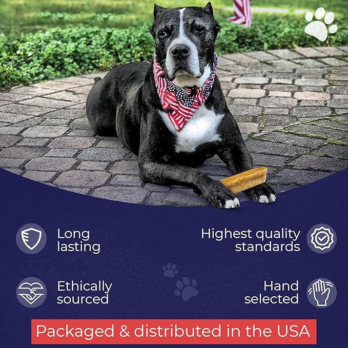 Devil Dog Pet Co. Himalayan Yak Cheese Dog Chews, Large - 1 Pack, 100% Natural & Healthy, Lactose-Free, Long-Lasting Dog Treats, Premium Yak Milk Chew Bones for Dogs