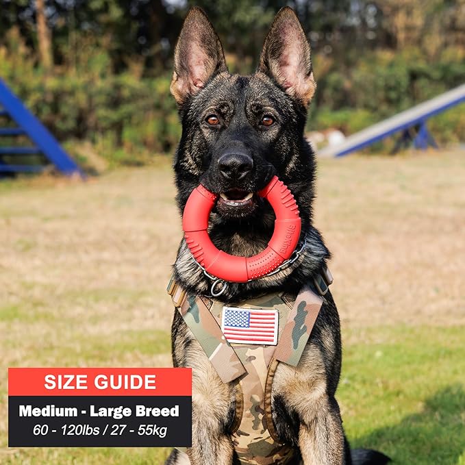 Natural Rubber Dog Ring Toy for Large Aggressive Chewers - Lifetime Replacement - Indestructible Tug Fetch Toy for Large Breed - Durable Tough Dog Chew Toy for Super Chewer, Red