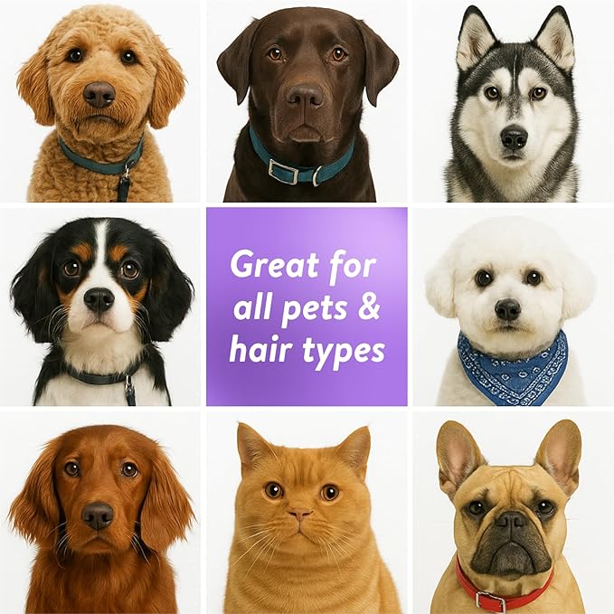 Bodhi Dog Waterless Shampoo - Natural Dry Shampoo for Dogs & Cats - Neutralizes Pet Odor - No Rinse Required - Made of Natural Extracts - Safe for Sensitive Skin - Made in USA - Lavender (17 Fl Oz)