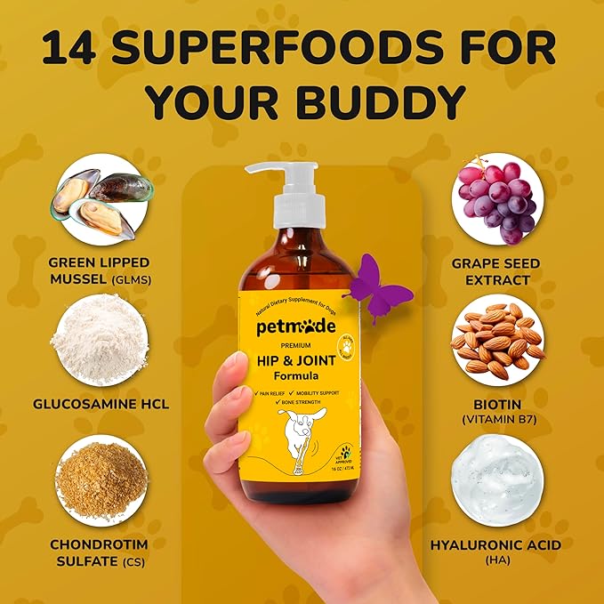 Hip and Joint Supplement for Dogs - Vet Approved Glucosamine Chondroitin for Dogs - Flexibility Support & Bone Strength - with MSM, Hyaluronic Acid, Vitamin B12, B6, B1 & More - 16 Fl Oz