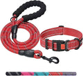Heavy Duty Dog Leash - Comfortable Padded Handle, 5 ft Long - Dog Leashes for Small Medium Large Dogs (Leash+Collar L Neck 20"-25", Red)