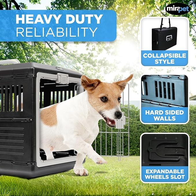 USA Pet Carrier & Crate 21'' - Premium Collapsible Design for Cats and Dogs - Portable Kennel for Small Pets - Indoor/Outdoor - 360-Degree Ventilation & Hard Plastic Wall Protection