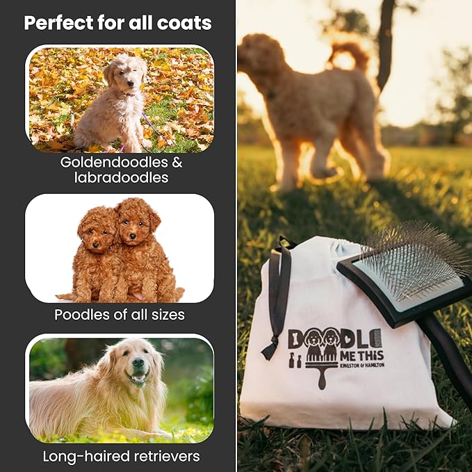 Slicker Brush for Dogs Kit Includes Comb Treat Pouch Bag and Guide Turns Stressful Grooming into bonding While Gently detangles matted Curly Wavy Coats.
