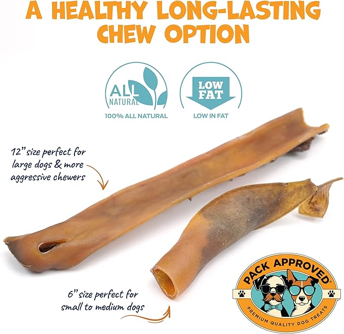 Camel Skin Dog Chews for Aggressive Chewers - Hypoallergenic Natural Collagen Sticks for Dental Health & Protein Boost - Long Lasting Treats for Small & Medium Dogs