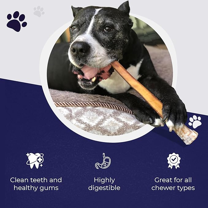 Devil Dog Pet Co. Jumbo Bully Sticks – 6 Inch, 6 Pack Dog Chews, 100% Natural Free-Range Grass-Fed Beef – Long Lasting, Rawhide-Free Treats for Dogs