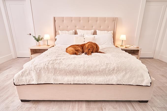 PupProtector Waterproof Throw Blanket for Dogs and Cats, Pet Blanket Cover for Couches, Sofas, Beds, Car Seats, Furniture, Calming Soft Faux Fur, Short White, Original (60" L x 50" W)