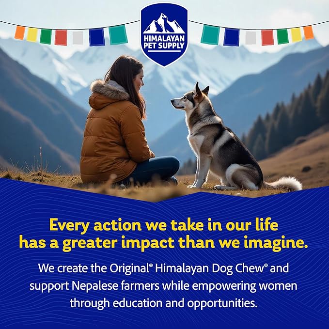 Himalayan Dog Chew Chicken Yak Cheese Dog Chews, The Better-for-You Chew, 100% Natural Long Lasting, Healthy Dog Treats, Lactose & Grain Free, Protein Rich, for Dogs 65 Lbs & Smaller, 4-Count