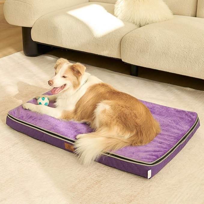 Memory Foam XL Dog Bed - 4” Thick Orthopedic Beds for Extra Large Dogs - Waterproof Dog Bed with Removable Washable Cover & Wrap-Around Zipper - Ultimate Comfort and Easy Maintenance, Purple