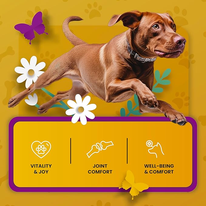 Hip and Joint Supplement for Dogs - Vet Approved Glucosamine Chondroitin for Dogs - Flexibility Support & Bone Strength - with MSM, Hyaluronic Acid, Vitamin B12, B6, B1 & More - 16 Fl Oz