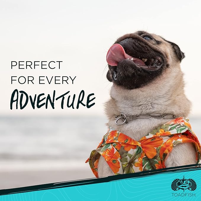 Toadfish Non-Tipping Dog Bowl - Double-Walled Stainless Steel Insulated - Smart-Grip Technology - Includes Cover - Pet Food & Water Dish - White