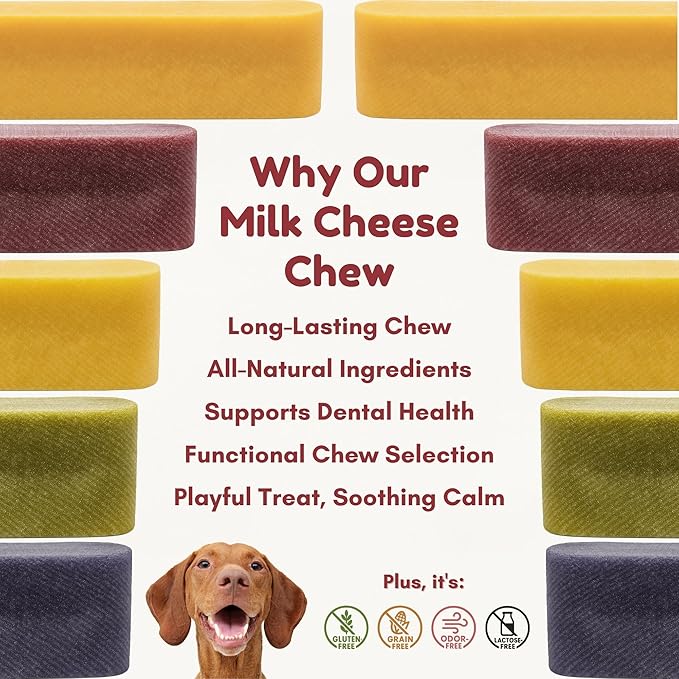 Majestic Pet Himalayan All-Natural Yak Style Cheese Dog Chews Made w/ 100% Cows Milk- Long Lasting Dental Chew for Dogs - Healthy Pet Treats w/Beneficial Ingredients (Variety Pack, Regular, 5 Pack)
