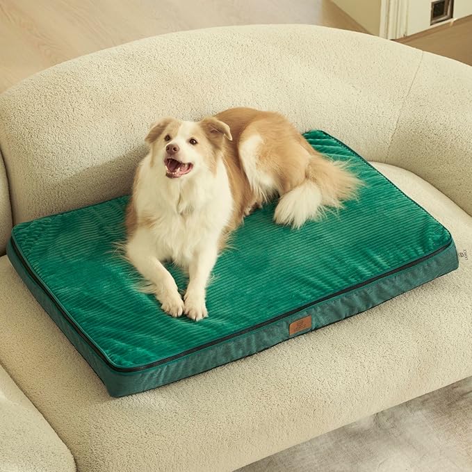 Memory Foam XL Dog Bed - 4” Thick Orthopedic Beds for Extra Large Dogs - Waterproof Dog Bed with Removable Washable Cover & Wrap-Around Zipper - Ultimate Comfort and Easy Maintenance, Green