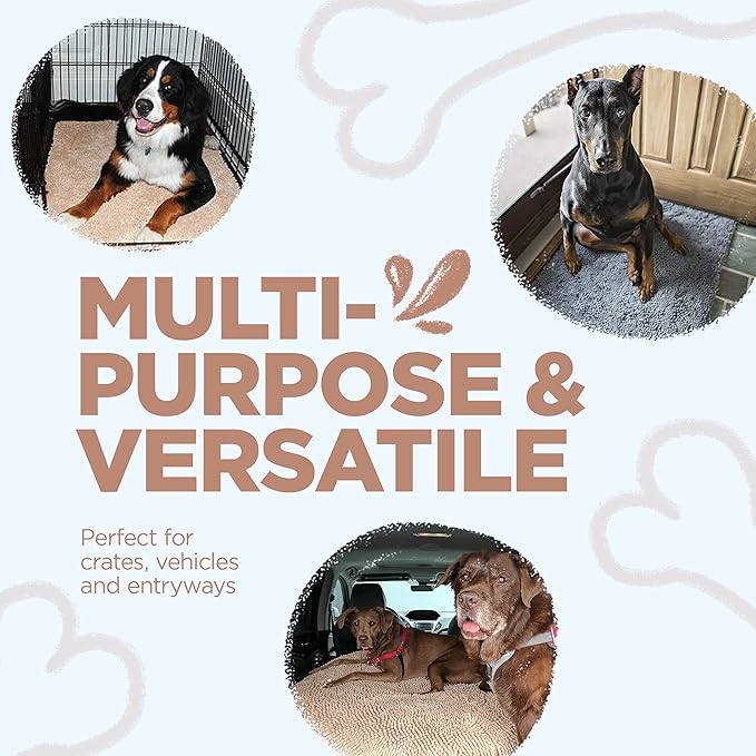 Soggy Doggy Doormat Plain Solid Color Design - Ultra Absorbent Microfiber Chenille Wet Dog Mat for Muddy Paws - Non-Slip and Machine Washable (Beige, Large 26” x 36”)