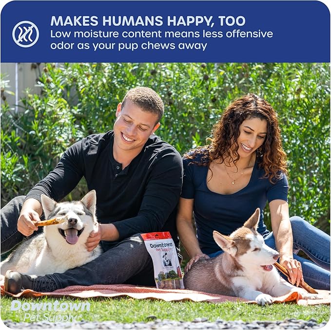 Downtown Pet Supply Jumbo Bully Sticks for Dogs - Natural Beef Chews, Low-Odor & Rawhide-Free, Long Lasting Dog Treats for Aggressive Chewers - Healthy, Safe & Delicious Chews Dogs Love (12" 40 Pack)