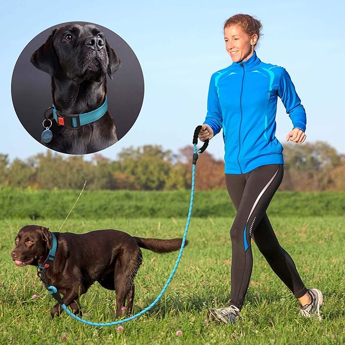 Heavy Duty Dog Leash - Comfortable Padded Handle, 5 ft Long - Dog Leashes for Small Medium Large Dogs (Leash+Collar S Neck 13.5"-16", Blue)