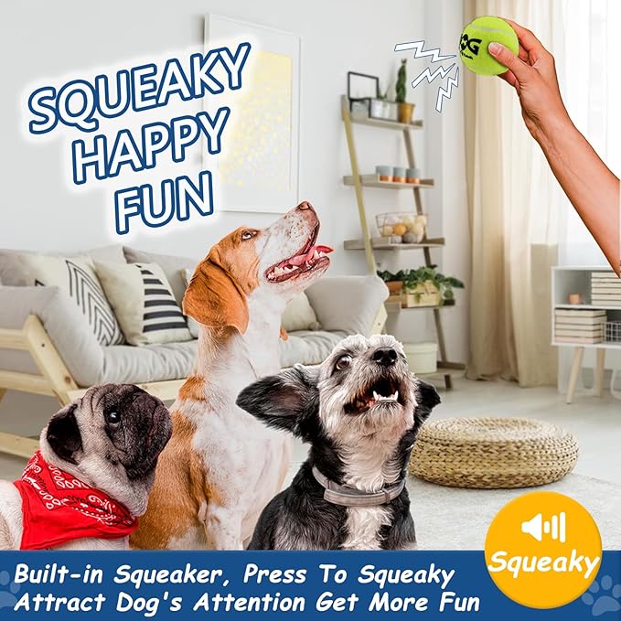 Squeaky Tennis Balls for Dogs - 12 Pack 2.5'' Durable Non-Toxic Outdoor Dog Toys Balls with Mesh Bag, SGS Certified, Colorful Fetch Toys, Medium Large Breeds
