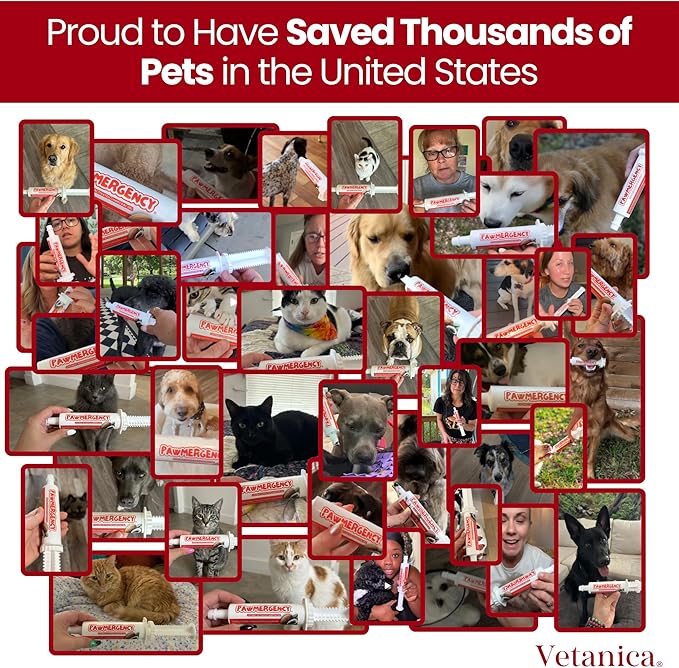 PawMergency – Activated Charcoal First Aid Kit Emergency Rescue 2 Pack for Dogs, Cats, Puppy & Pet Poison Kit, Camping Survival Remedy Essential, Oral Anti Diarrhea Digestive Absorb Toxins (30mL)