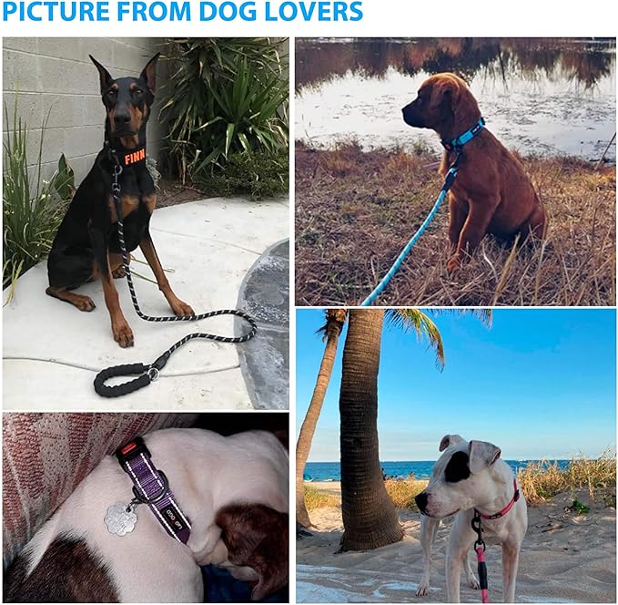 Heavy Duty Dog Leash - Comfortable Padded Handle, 5 ft Long - Dog Leashes for Small Medium Large Dogs (Leash+Collar L Neck 20"-25", Red)