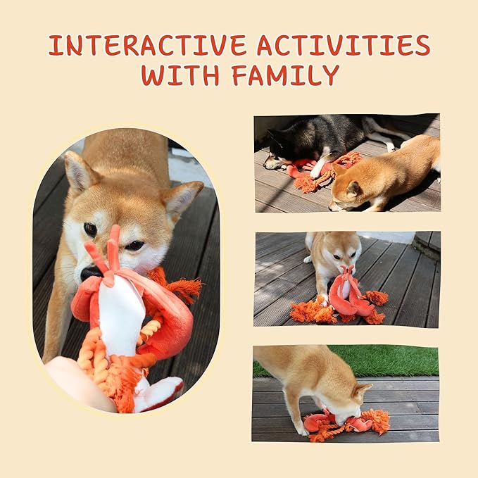 Squeaky Dog Toys, Rope Tug of War Dog Toys, Interactive Lobster Plush Chew Toys, Dog Gifts for Puppy, Small Medium Large Dogs