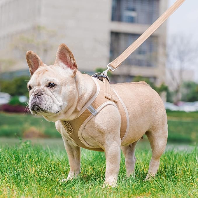 PUPTECK Dog Harness and Leash Set for Small Medium Dogs No Pull Step-in Soft Mesh Puppy Cat Vest Harnesses Reflective at Night, Denim Beige XS