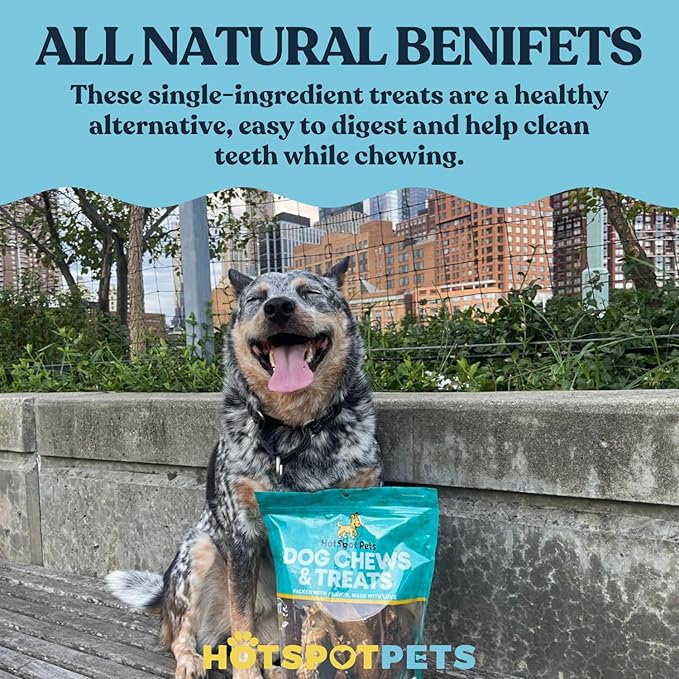 hotspot pets Beef Esophagus Dog Treats (6 INCHES) (1LB Bag) Grass Fed with No Added Hormone All Natural Jerky Dog Treats - Chews Rich in Glucosamine & Chondroitin for Joint Health