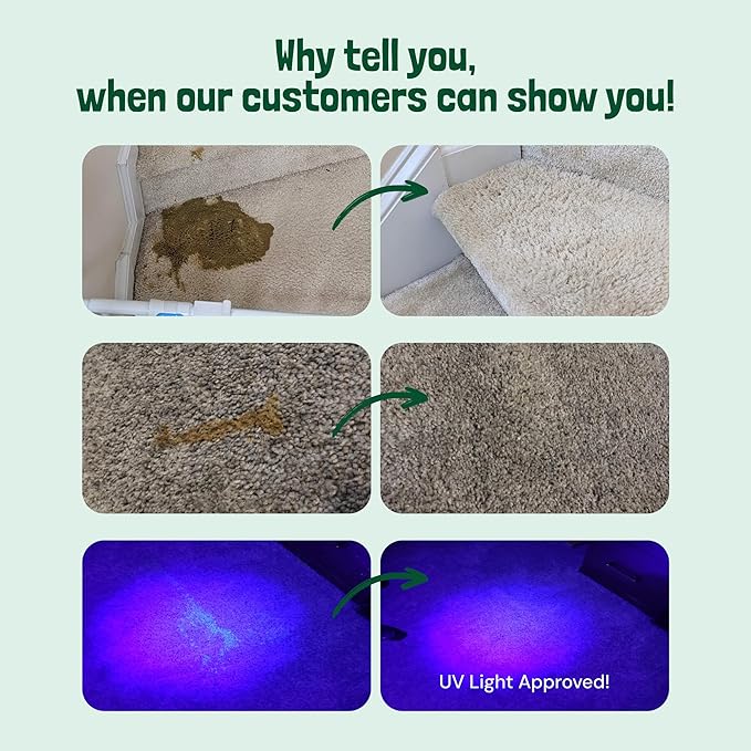 Sunny & Honey Pet Stain & Odor Miracle - Fast Acting Carpet Cleaner - Enzyme Spray for Carpets, Mattresses & Upholstery - Rug Shampoo - Dog Pee Cleaner & Surface Odor Remover (32 fl oz, Spring Mint)