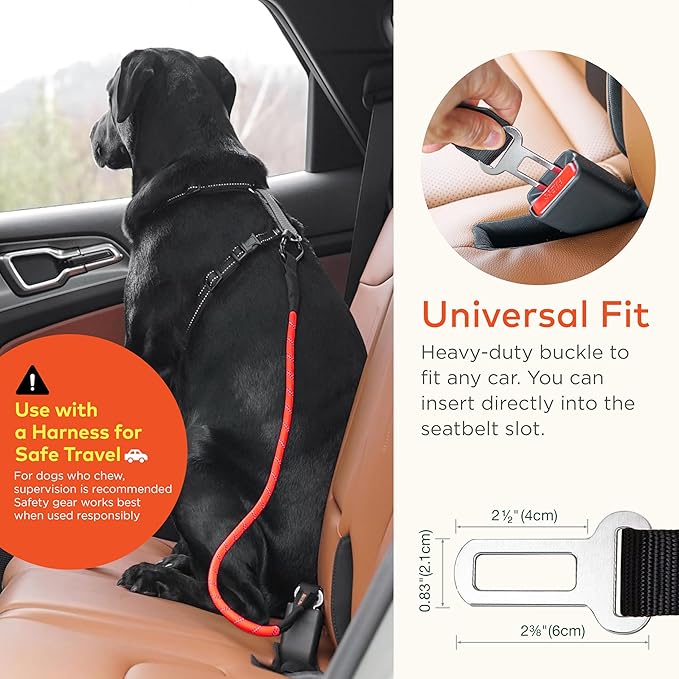 Dog Travel Safety Bundle – Pet First Aid Kit & Car Seat Belt for Safe Adventures, Camping, Hiking, and Road Trips (Canyon Red 360°)