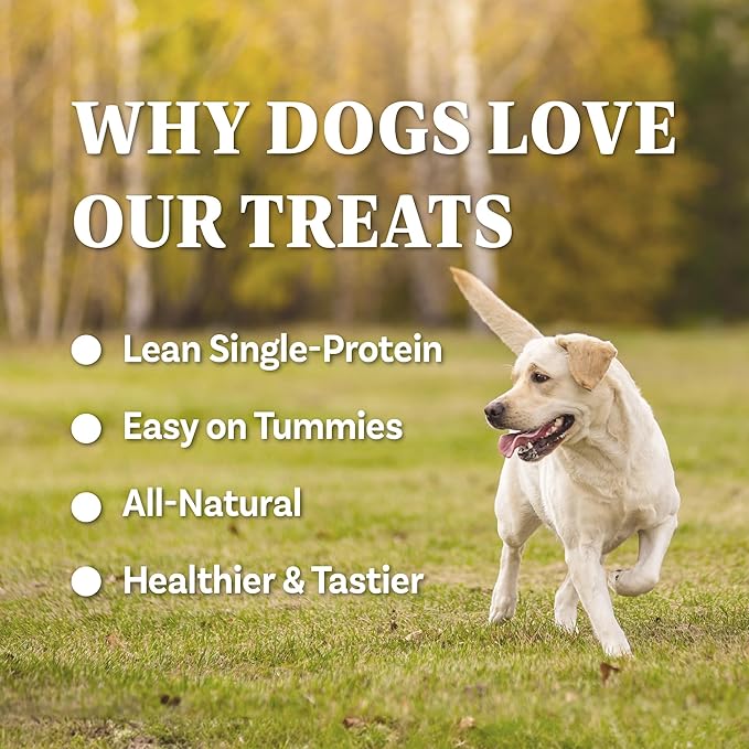 A Freschi srl Buffalo Dog Treats, All-Natural, Hypoallergenic, High Protein, Low Fat, Human Grade Puppy Chews – Healthy Grain-Free Training Treats, 12oz Jerky Strips