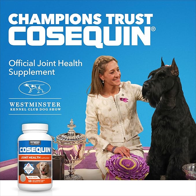 COSEQUIN Maximum Strength Joint Supplement Plus MSM & Omega-3's - With Glucosamine and Chondroitin - For Dogs of All Sizes (Soft Chews)