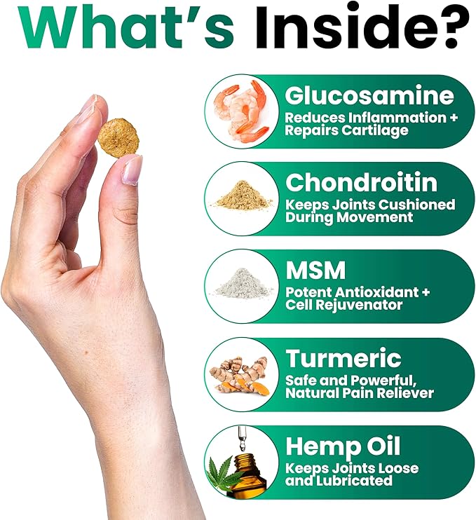 (2 Pack) Hemp Hip and Joint Supplement for Dogs - Glucosamine for Dogs - 340 Joint Pain Relief Treats - Chondroitin, MSM, Hemp Oil - Advanced Health Supplement - Mobility Support Chews - Made in USA