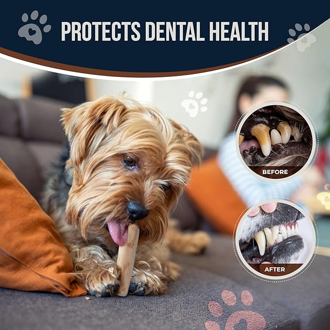 GOWGOW Coffee Wood Dog Chews 7.5" & Dog Rope Toys 100% Natural for Teething, Stress Relief, Dental Health, Organic Toys - Size S