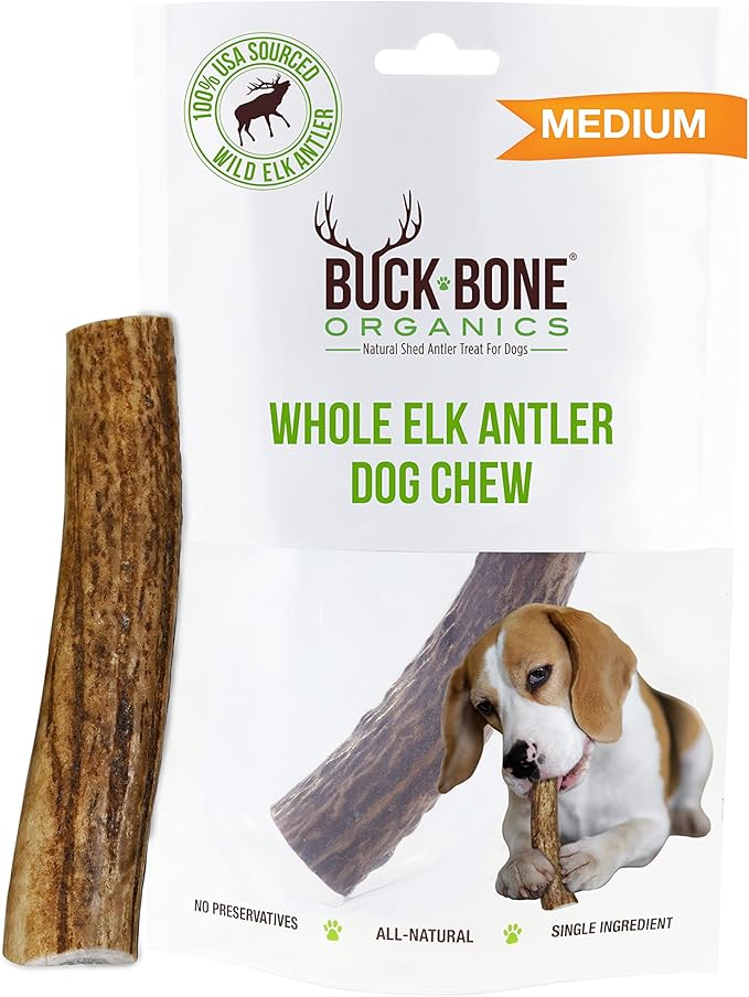 Buck Bone Organics Dog Chews, Elk Antlers for Dogs, Long Lasting Dog Bones for Aggressive Chewers, All Natural, No Preservatives, Wild Shed in The USA (Medium)