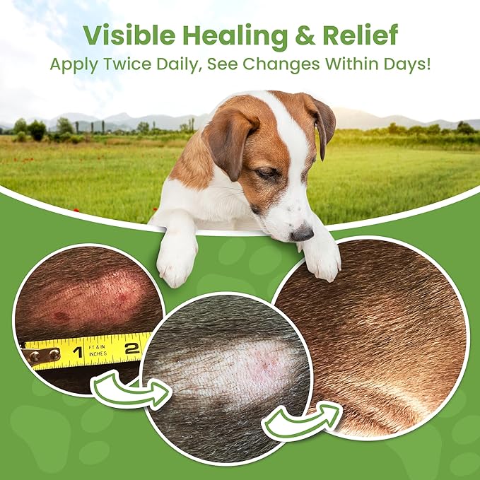 Hot Spot Treatment for Dogs - Pet Wound Care: Healing Ointment for Pets Itchy Skin Relief, Dry Skin Treatment, Natural Allergy Relief, Dog Paw Balm + Manuka Honey, Aloe Vera, Vitamin E (8 Oz.)