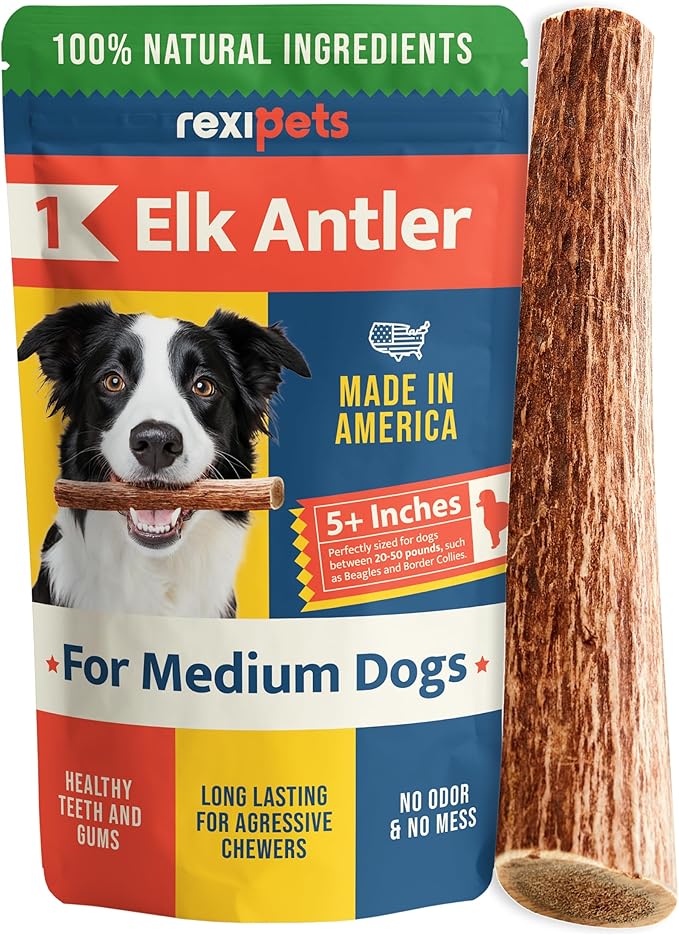 100% Natural - Elk Antlers for Dogs - Naturally Shed in USA - Dog Antler Chews for Medium Breeds - Natural, Long-Lasting Treats for Aggressive Chewers - Dog Chews - No Smell & No Mess - Medium